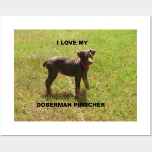 doberman pinscher red love with picture Posters and Art